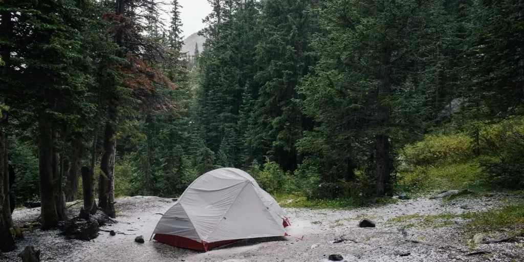 Tent Types: Forest Camping with Freestanding MSR Tent on Rocky Ground