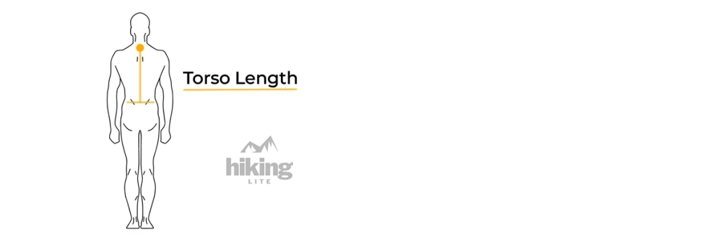 Measuring Your Torso Length: Torso Length