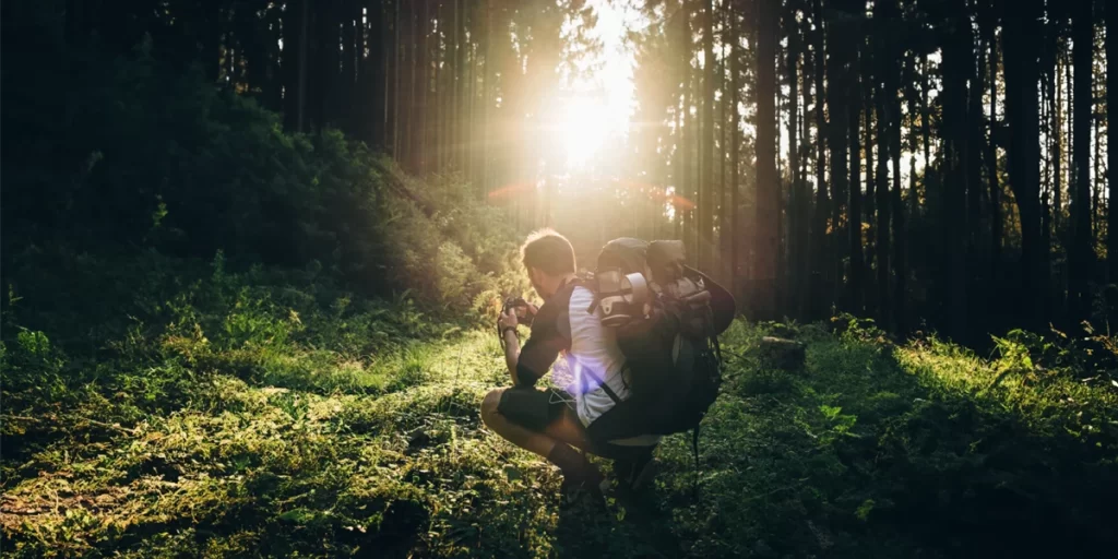 Hiking with a Camera: A backpacker taking a photo in a forest