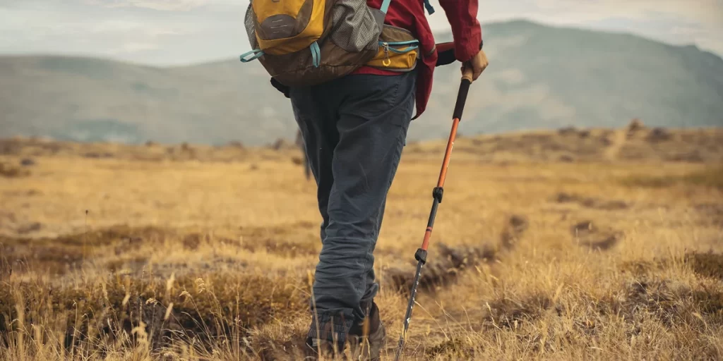 Trekking Poles: A close-up of a hiker walking on a field trail with trekking poles