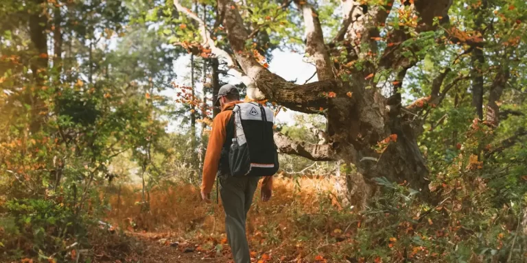 How to Clean a Backpack: Hiker on a forest trail getting his backpack dirty