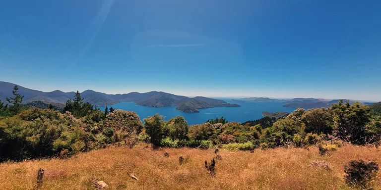 Serene view from a grassy ridge overlooking a tranquil lake surrounded by lush green hills in New Zealand's Queen Charlotte Track