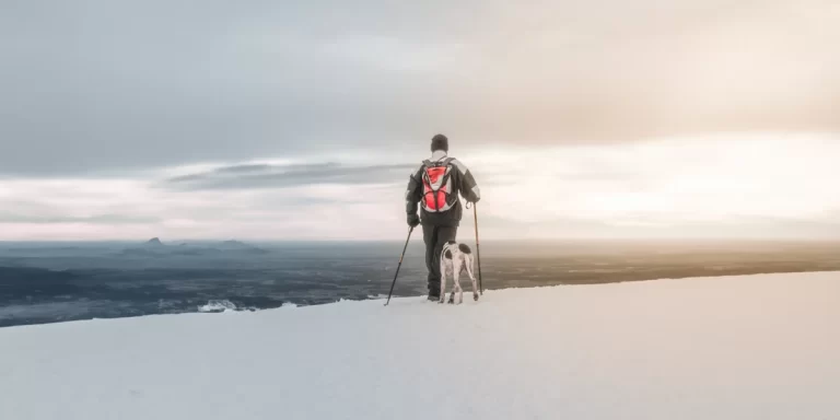 A backpacker with winter hiking pants and a dog walking in the snow