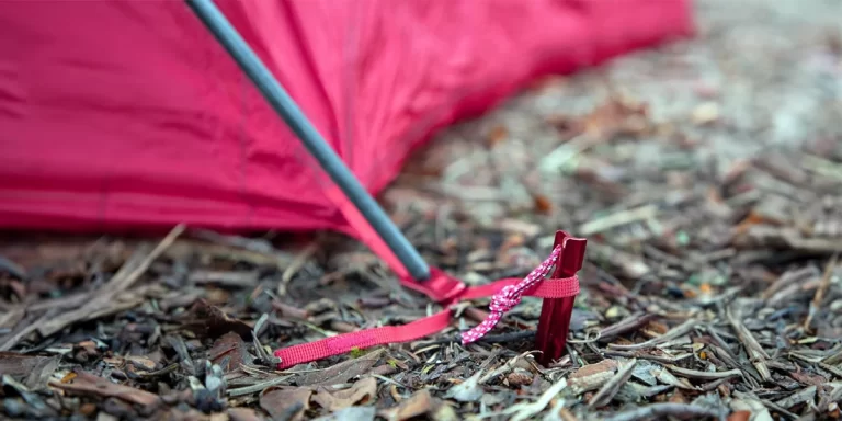 Tent Stakes: A close-up of an ultralight titanium tent stake holding a tent down