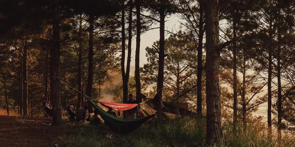 Backpacking Hammocks in a sunny forest