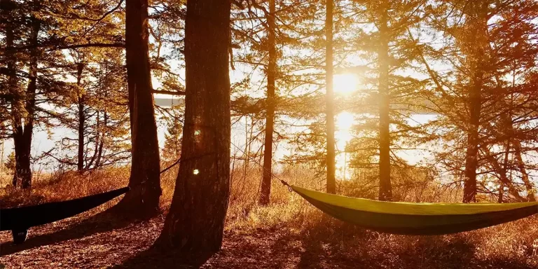 How to Choose a Hammock: Set up in the forest during the golden hour next to a lake