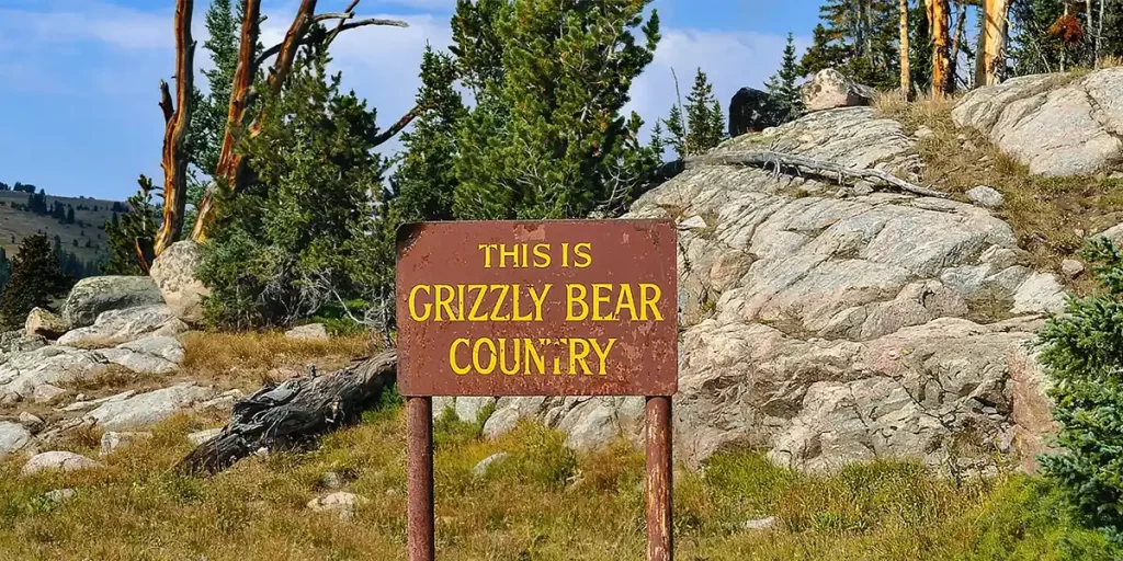 Bear Canister Basics: A warning sign indicating grizzly bear territory on a trail