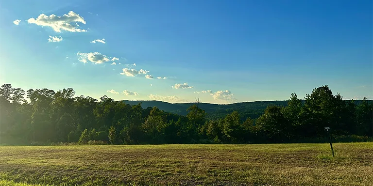 A sunny vista of an open field at the Caddo Bend Trailhead in Mountain Pine, Arkansas