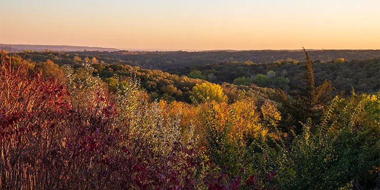The Loess Hills glow in golden hour hues, with verdant valleys and ridges awash in warm light beneath vivid blue and pink sunset skies