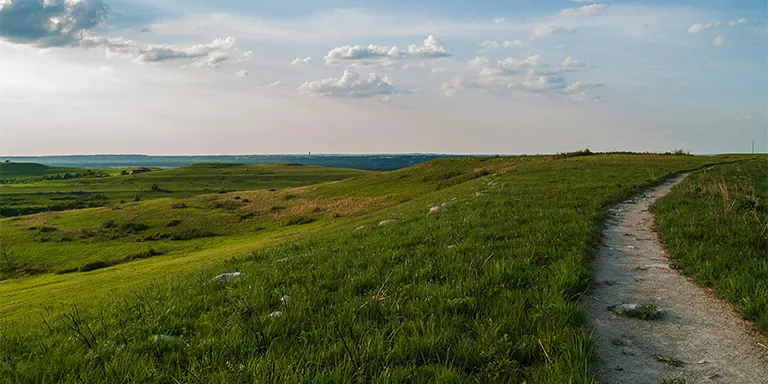 On the Konza Prairie nature trail near Manhattan, Kansas, an expansive field of verdant grass stretches out under a brilliant blue daytime sky