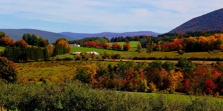 Vivid fall foliage blazes orange and red across rolling fields and forested hills beneath a clear blue sky on an idyllic sunny autumn day in the Berkshire Scenery of western Massachusetts