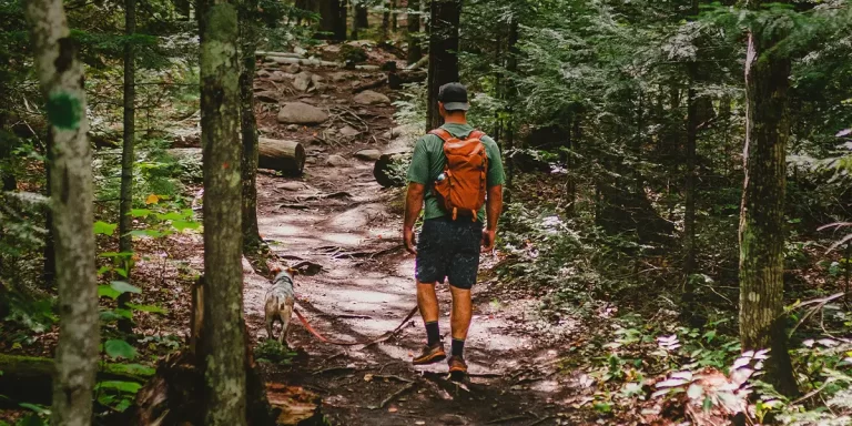 Backpacking in Michigan: A lone hiker navigates a serene forest trail, immersing themselves in the natural beauty of Michigan's wilderness