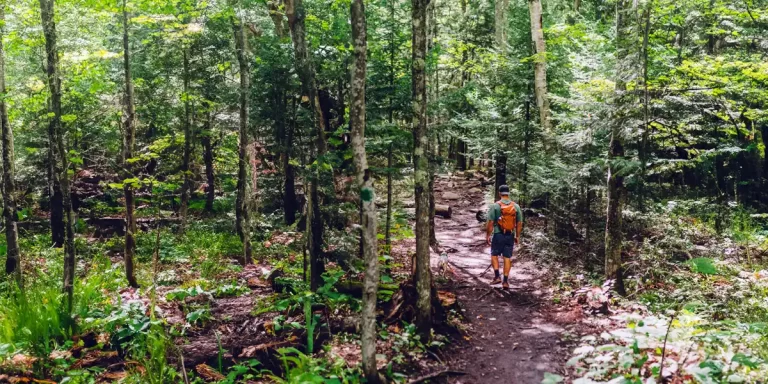 Ultralight Backpacking in Michigan: A lone hiker navigates a serene forest trail, immersing themselves in the natural beauty of Michigan's wilderness