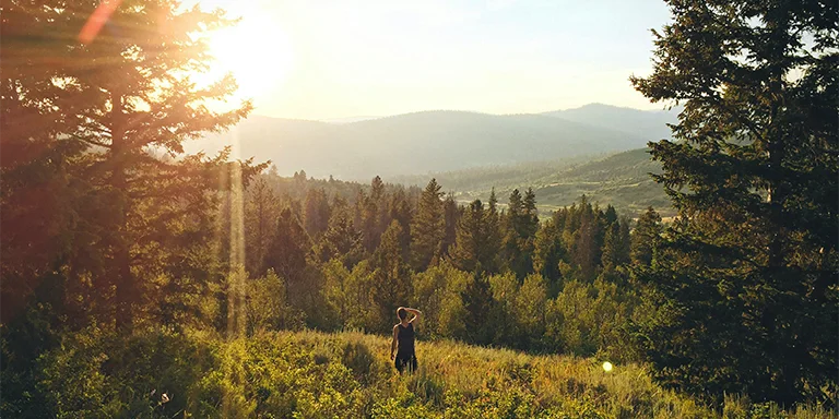 A lone hiker stands surrounded by towering evergreen trees and filtered sunlight in a serene forest setting