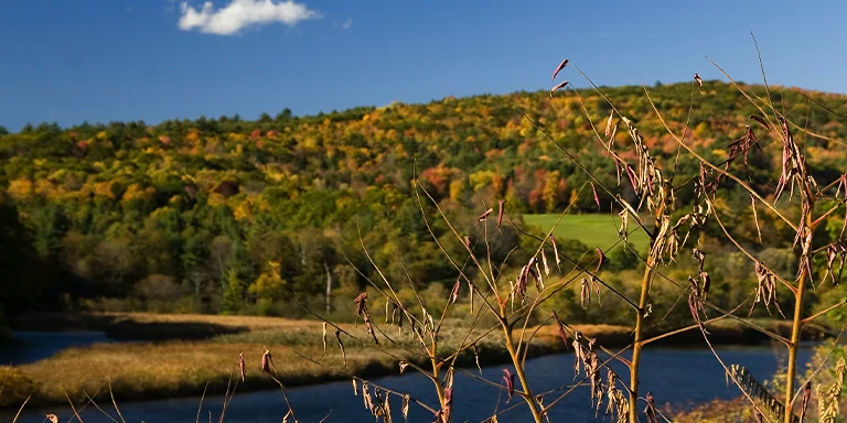 A sweeping landscape view of a vibrant green grass field bordering a calm blue pond reflecting the trees and blue sky, with hills rolling into the distance showcasing the fall foliage colors of Vermont