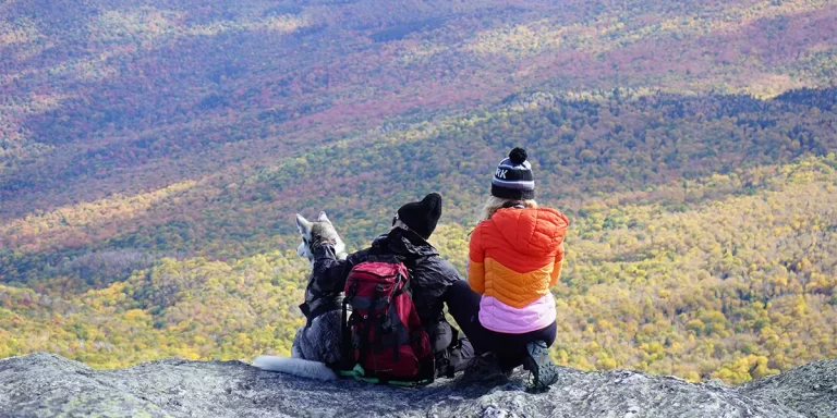 Backpacking in Vermont: Two backpackers and a dog enjoying a trail view