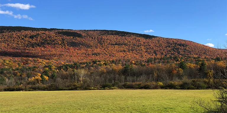 A scenic view looking south over the rolling hills of the Green Mountain National Forest in Vermont during a brilliant fall foliage season, with orange, red, and yellow trees covering the landscape as far as the eye can see