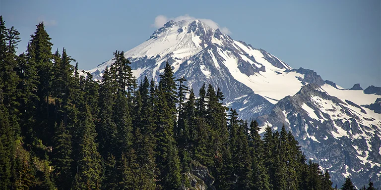 A majestic snow-capped mountain peak rises above a forest of pine trees along the Pacific Crest Trail in the Glacier Peak Wilderness of Washington