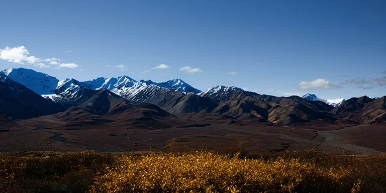 The snow-capped peaks of the Polychrome Mountains stretch across the horizon, creating a majestic backdrop to Denali National Park's stunning Alaskan wilderness