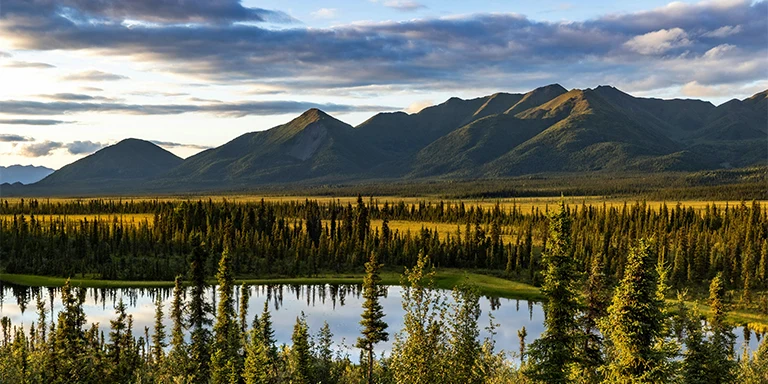 A crystal clear lake nestled amidst dense pine forest reflects the rugged Alaskan mountain peaks rising majestically in the background of Wrangell-St. Elias National Park