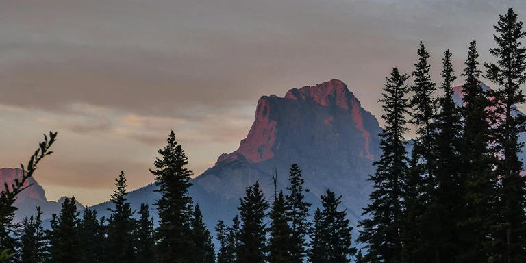 A pine tree and mountain are visible at a slightly smokey sunrise during the British Columbia wildfire season in Canmore, Alberta, Canada