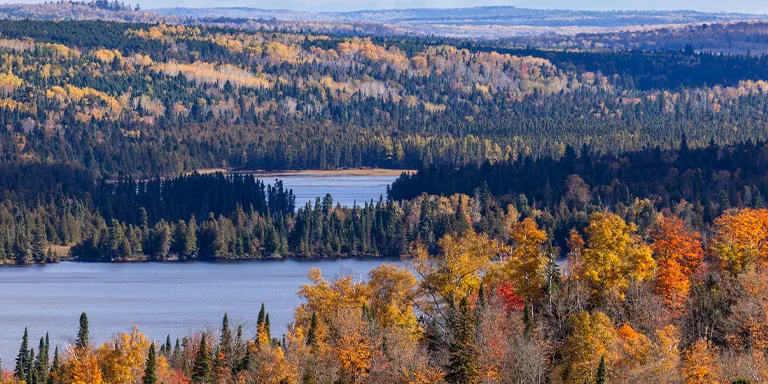 This breathtaking autumn vista in Minnesota's Superior National Forest overlooks the mirror-like waters of Caribou Lake and Bigsby Lake reflecting the vibrant fall foliage surrounding their shores near the North Shore of Lake Superior