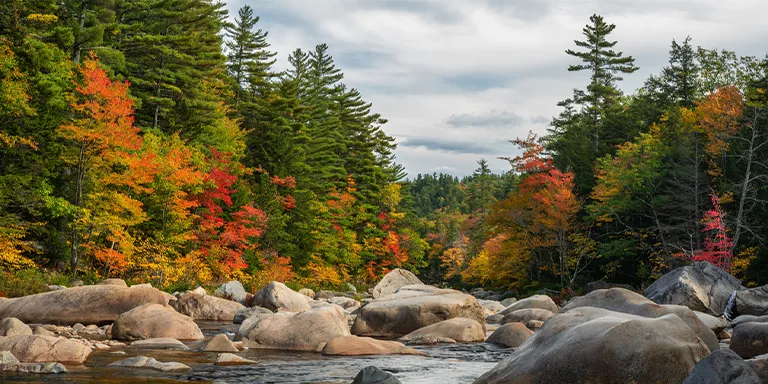 Vibrant fall foliage colors in New Hampshire