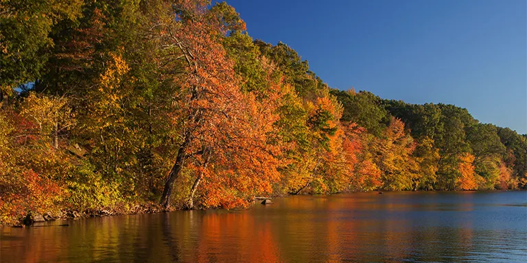 At Lincoln Woods State Park, a serene pond reflects the vibrant fall foliage colors and warm sunset glow across the calm waters