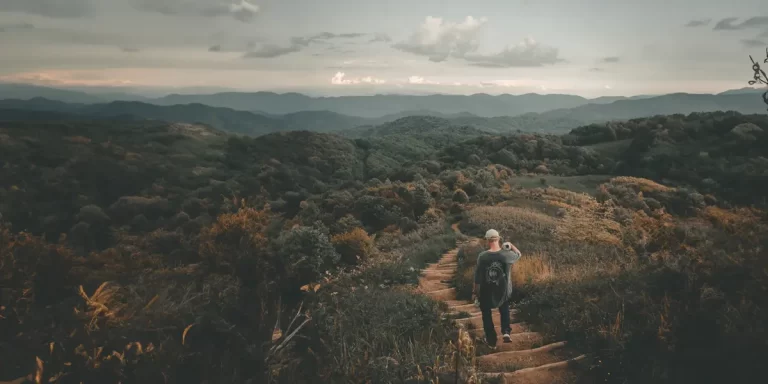 Backpacking in North Carolina: Man in a grey T-shirt walking down the stairs on a hiking trail