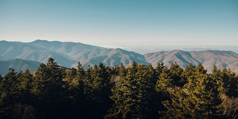 Towering conifers frame the majestic vista of the smoky blue Great Smoky Mountains on the horizon
