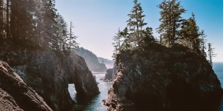 Backpacking in Oregon: A scenic view near a coast trail
