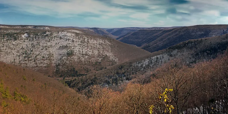The Tiadaghton State Forest in Lycoming County, along the Black Forest Trail, offers a stunning southeast view of the Naval Run drainage area and the serpentine path of Pine Creek Gorge carving through the lush landscape