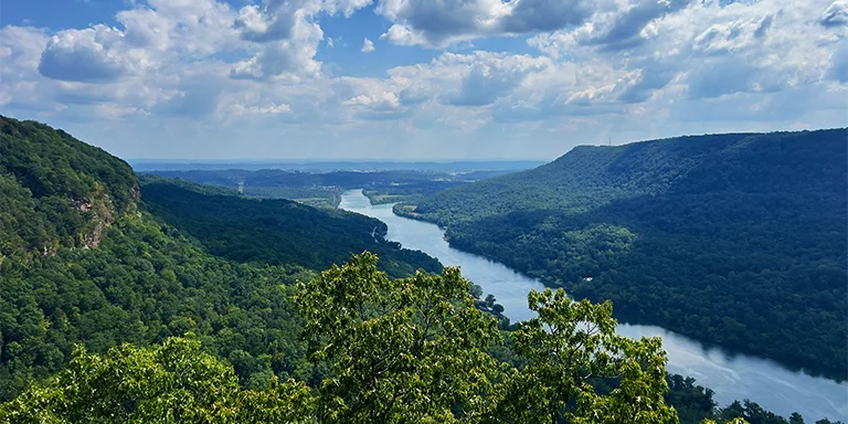 A scenic view showing a serene river winding its way through the lush green valley below towering cliffs, located in the Prentice Cooper State Forest in Chattanooga, United States