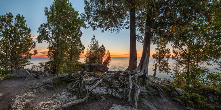 A serene scene featuring a solitary tree standing beside a tranquil body of water at Cave Point County Park in Sturgeon Bay, Wisconsin