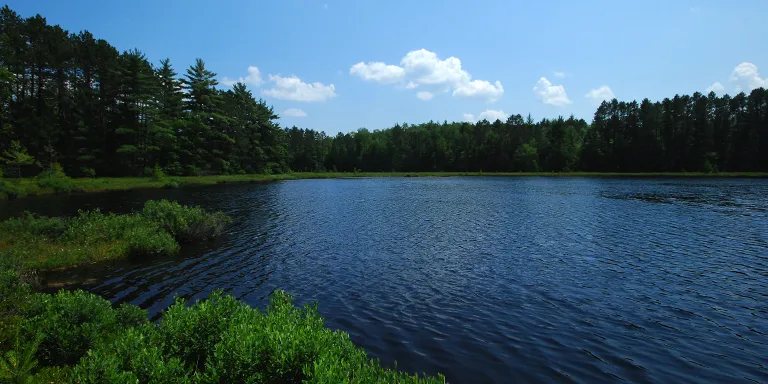 Haymeadow Flowage, a picturesque Wisconsin State Natural Area #482 located in Forest County, showcases the natural beauty of the region