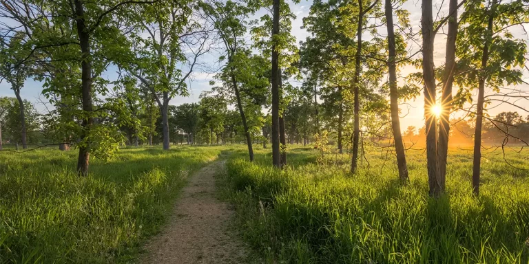 Backpacking in Wisconsin: A sunny trail through the woods