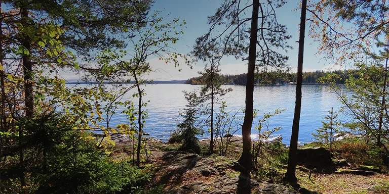 A glimmering lake peeks through the trees