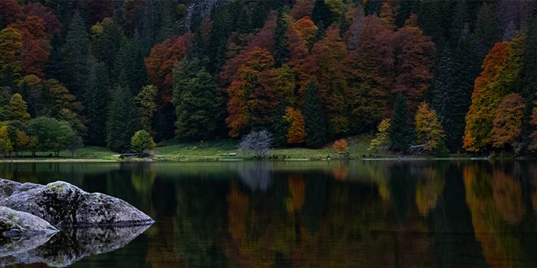 A serene lake reflects the surrounding trees and mountains, creating a magical mirrored scene at Feldsee, Feldberg, Germany