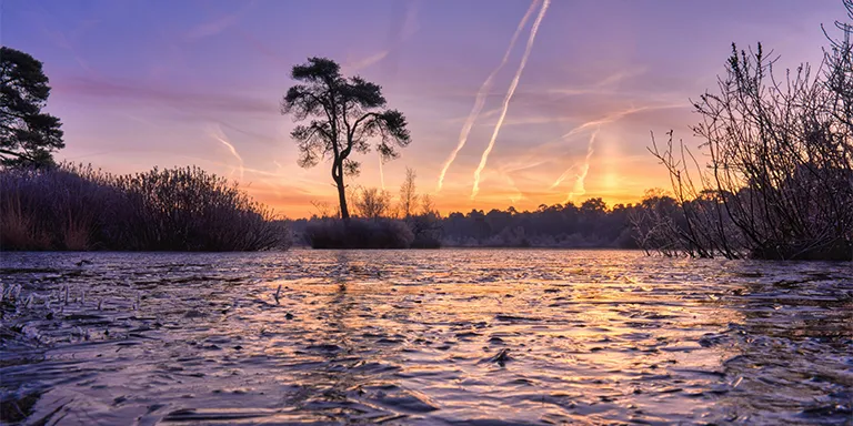 A solitary tree stands on a small island in a frozen lake, its bare branches silhouetted against the background of trees on the far shore as the sunrise colors the wintry scene